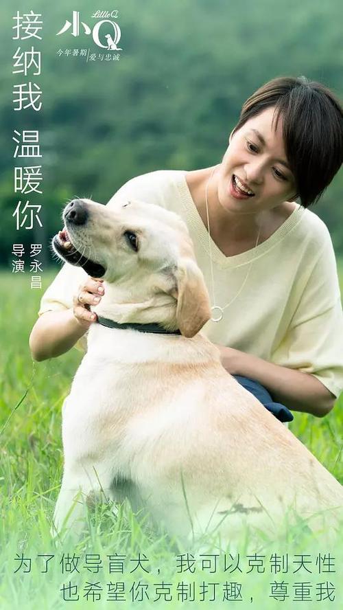 蒙彼利埃第三大学 Science and technology diploma
